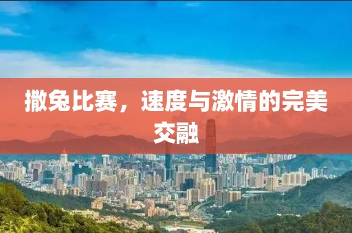撒兔比赛，速度与激情的完美交融