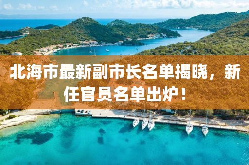 北海市最新副市长名单揭晓，新任官员名单出炉！
