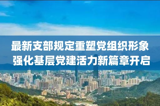 最新支部规定重塑党组织形象 强化基层党建活力新篇章开启