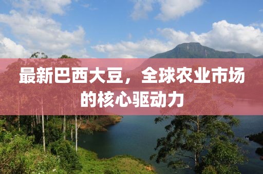 资质荣誉 第551页