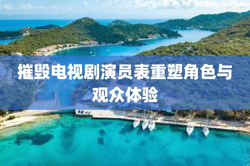 摧毁电视剧演员表重塑角色与观众体验