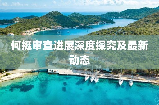 何挺审查进展深度探究及最新动态