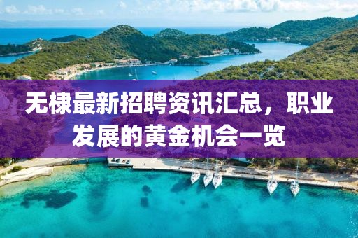 无棣最新招聘资讯汇总，职业发展的黄金机会一览