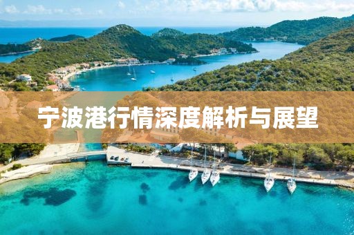 宁波港行情深度解析与展望