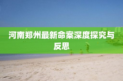 河南郑州最新命案深度探究与反思