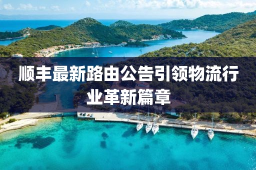 顺丰最新路由公告引领物流行业革新篇章
