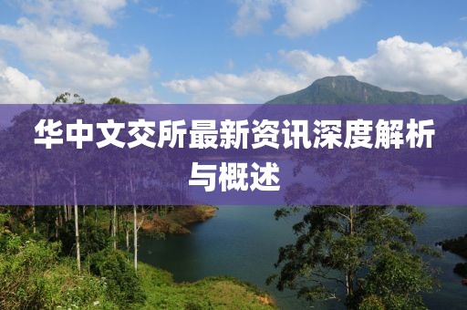 华中文交所最新资讯深度解析与概述