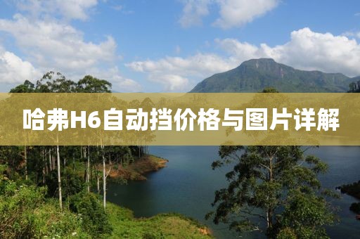 哈弗H6自动挡价格与图片详解