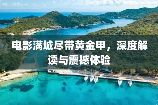 电影满城尽带黄金甲，深度解读与震撼体验