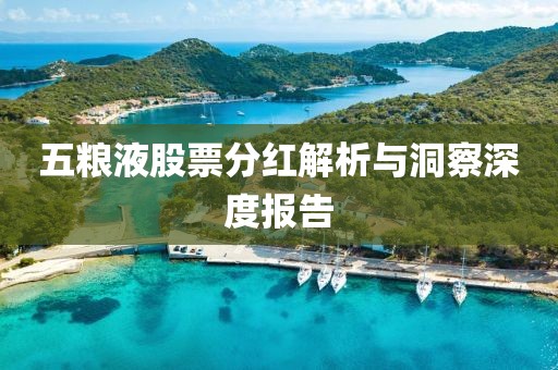 五粮液股票分红解析与洞察深度报告