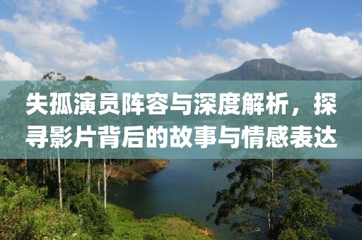失孤演员阵容与深度解析，探寻影片背后的故事与情感表达