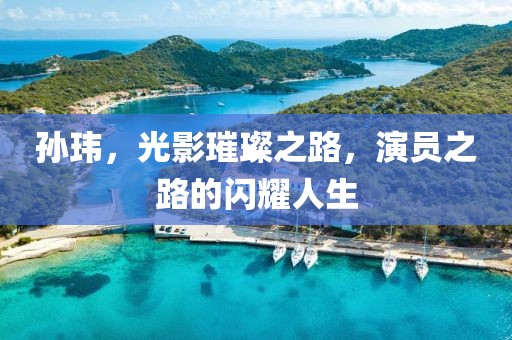 孙玮，光影璀璨之路，演员之路的闪耀人生