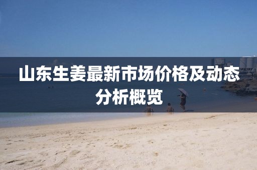 山东生姜最新市场价格及动态分析概览