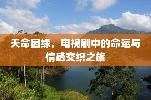 天命因缘，电视剧中的命运与情感交织之旅