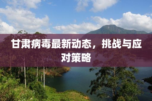 甘肃病毒最新动态，挑战与应对策略