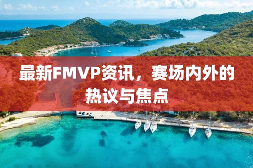 最新FMVP资讯，赛场内外的热议与焦点
