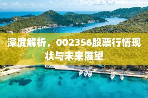 深度解析，002356股票行情现状与未来展望