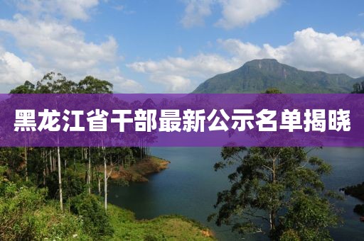 黑龙江省干部最新公示名单揭晓