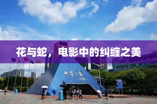 花与蛇，电影中的纠缠之美