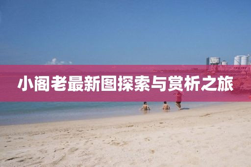 小阁老最新图探索与赏析之旅