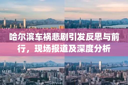 哈尔滨车祸悲剧引发反思与前行，现场报道及深度分析