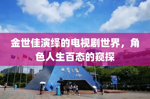 金世佳演绎的电视剧世界，角色人生百态的窥探