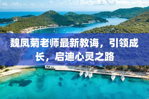 魏凤菊老师最新教诲，引领成长，启迪心灵之路