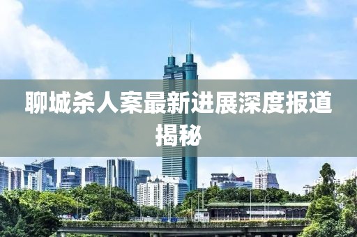 聊城杀人案最新进展深度报道揭秘