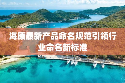 海康最新产品命名规范引领行业命名新标准