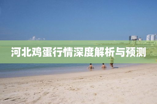 河北鸡蛋行情深度解析与预测