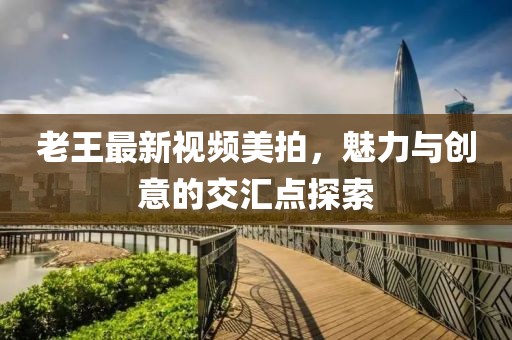老王最新视频美拍，魅力与创意的交汇点探索