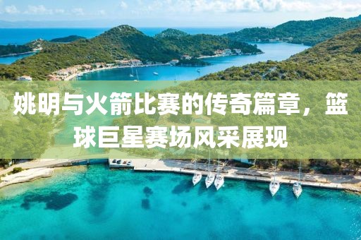 姚明与火箭比赛的传奇篇章，篮球巨星赛场风采展现