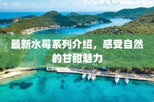 最新水莓系列介绍，感受自然的甘甜魅力
