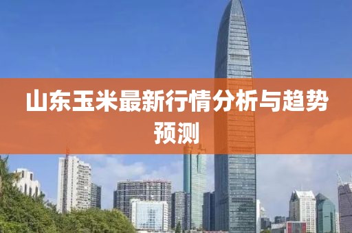 山东玉米最新行情分析与趋势预测