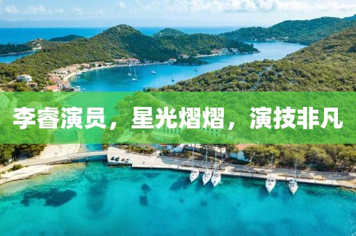李睿演员，星光熠熠，演技非凡