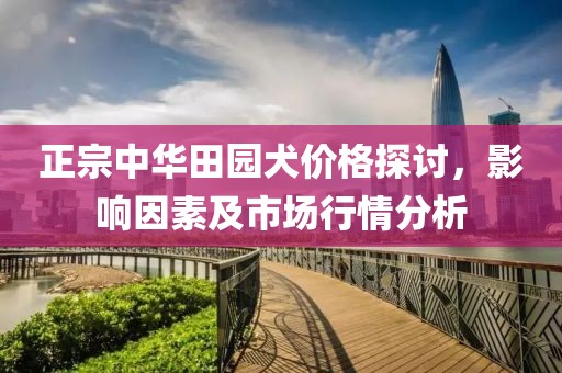 正宗中华田园犬价格探讨，影响因素及市场行情分析