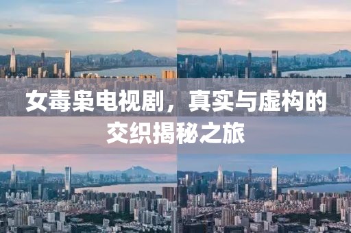 女毒枭电视剧，真实与虚构的交织揭秘之旅