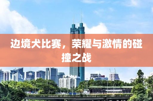 边境犬比赛，荣耀与激情的碰撞之战