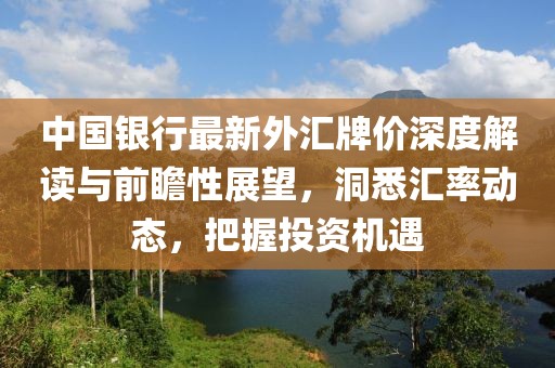 中国银行最新外汇牌价深度解读与前瞻性展望，洞悉汇率动态，把握投资机遇