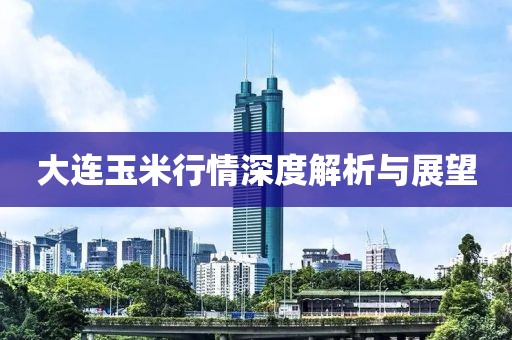 大连玉米行情深度解析与展望