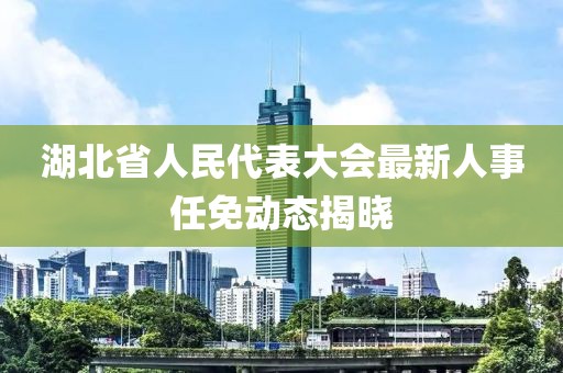 湖北省人民代表大会最新人事任免动态揭晓