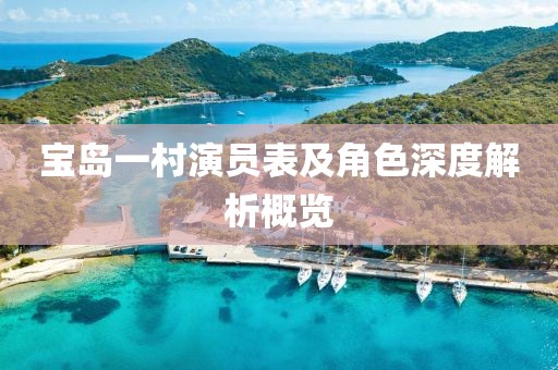宝岛一村演员表及角色深度解析概览