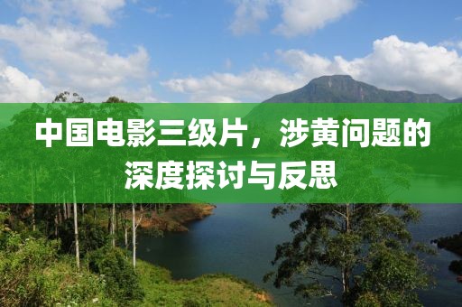 中国电影三级片，涉黄问题的深度探讨与反思