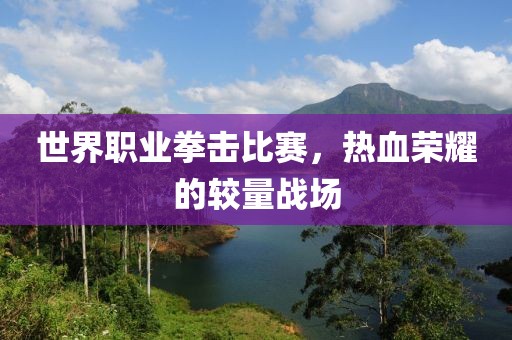 世界职业拳击比赛，热血荣耀的较量战场