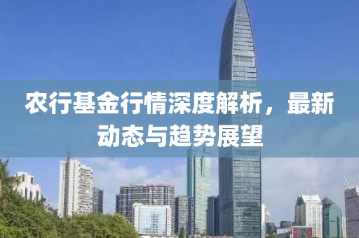 农行基金行情深度解析，最新动态与趋势展望