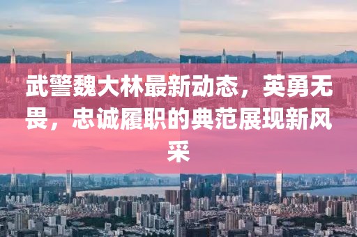 武警魏大林最新动态，英勇无畏，忠诚履职的典范展现新风采