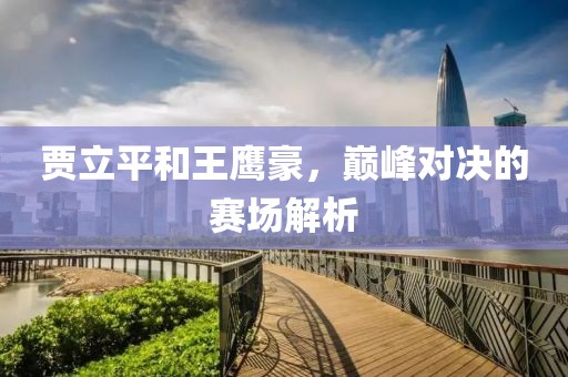 贾立平和王鹰豪，巅峰对决的赛场解析