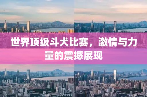 世界顶级斗犬比赛，激情与力量的震撼展现