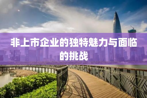 非上市企业的独特魅力与面临的挑战