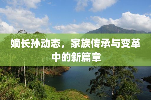 嫡长孙动态，家族传承与变革中的新篇章